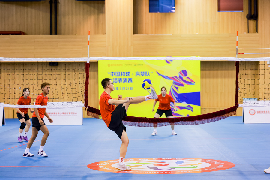 个省市的体, 梦队的队员, 球架上还设