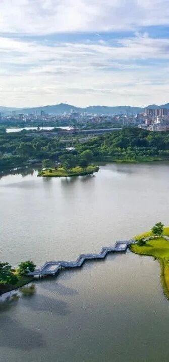 岁至, 身与竞技体